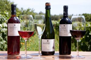 Argentina entra atrasada no mercado de vinhos naturais, mas o faz com maestria