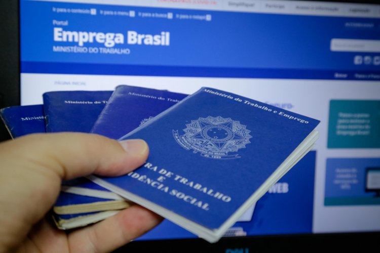 Brasil registra maior taxa de desemprego desde 2012, aponta IBGE