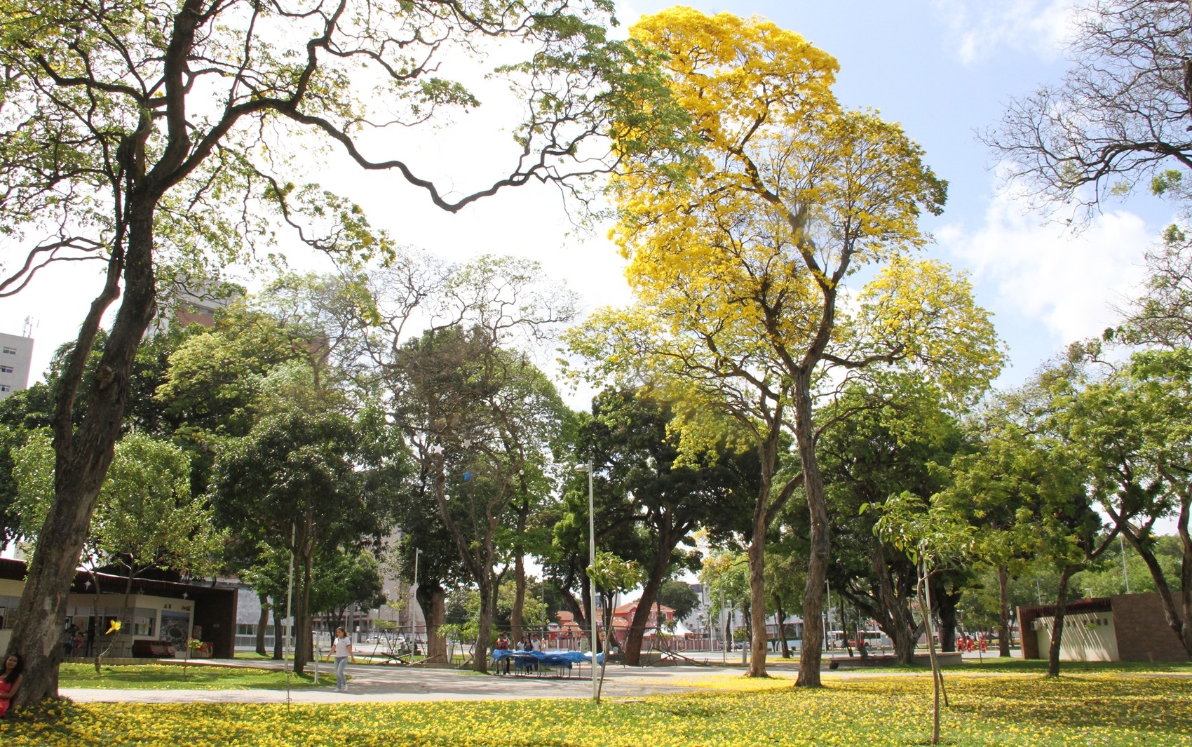 João Pessoa é a cidade mais competitiva do Nordeste, segundo ranking de municípios