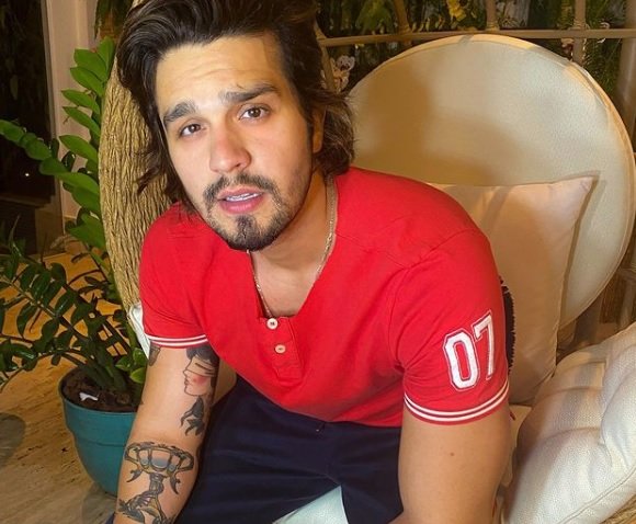 Luan Santana faz live neste domingo para arrecadar fundos para o Pantanal