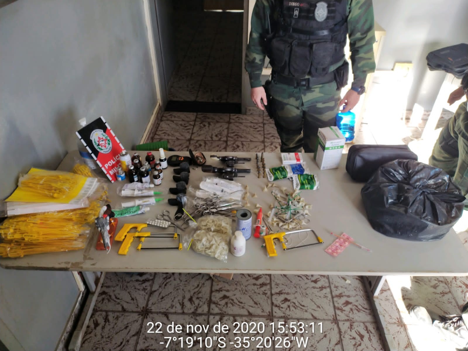 Mais de 60 galos são resgatados após desarticulação de rinha, em Ingá, PB