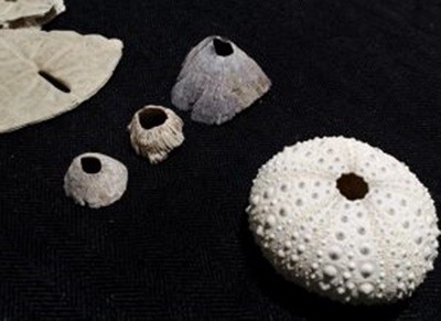 Exposição ‘Sobrenatureza Incorpórea’ começa nesta sexta-feira (18), em João Pessoa