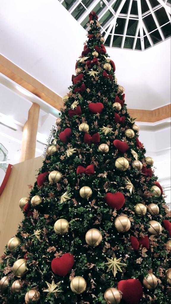 Concurso de decoração natalina distribui R$ 25 mil em premiação em Natal