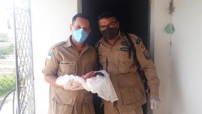 Bombeiros auxiliam parto de emergência dentro de banheiro no interior do RN: ‘Inesquecível’