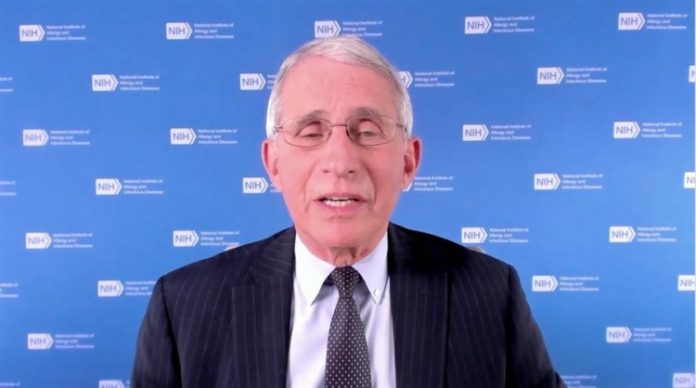 Estados Unidos voltarão ao normal entre junho e outubro, diz Fauci