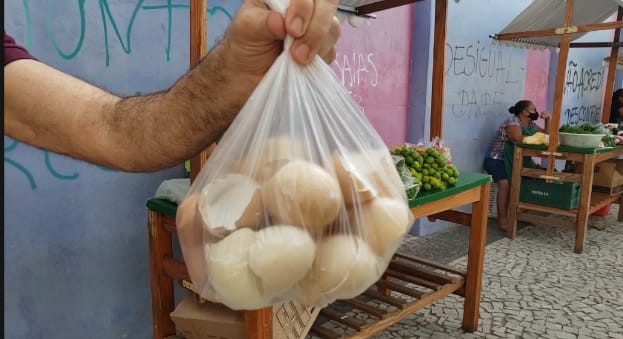Projeto incentiva clientes de feira a reutilizarem cascas de ovos na produção de adubo em Mossoró