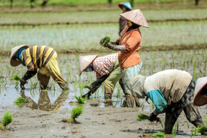 Dois terços dos países tiveram diminuição na média salarial, aponta OIT