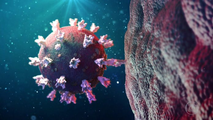 Casos de coronavírus na Paraíba em 26 de dezembro