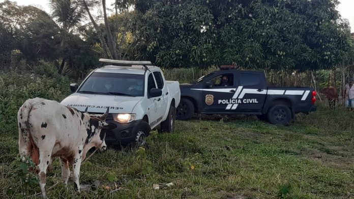 Homem é encontrado morto com sinais de estrangulamento e tortura na Grande Natal