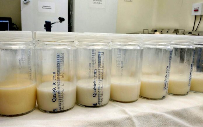 Bancos de leite humano do Rio Grande do Norte registram baixos estoques