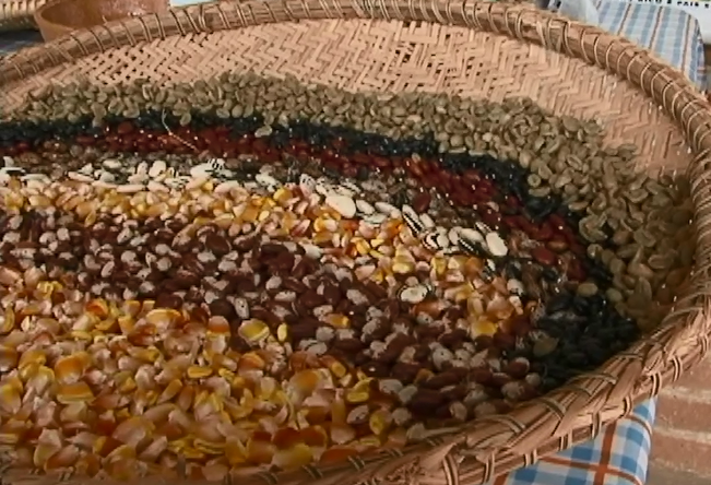 Governo começa distribuição de 100 toneladas de sementes para agricultores familiares no RN