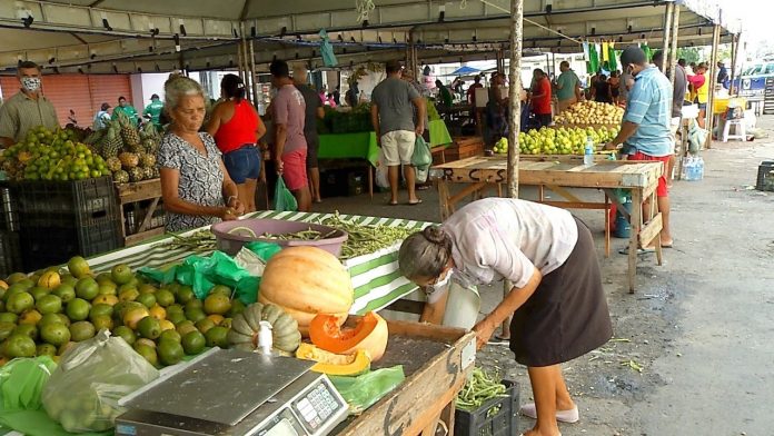 Projeto de lei aprovado torna feira do Alecrim patrimônio cultural imaterial do Rio Grande do Norte