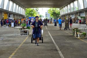 Índice de preço da Ceagesp fecha 2020 com alta de 15,9%