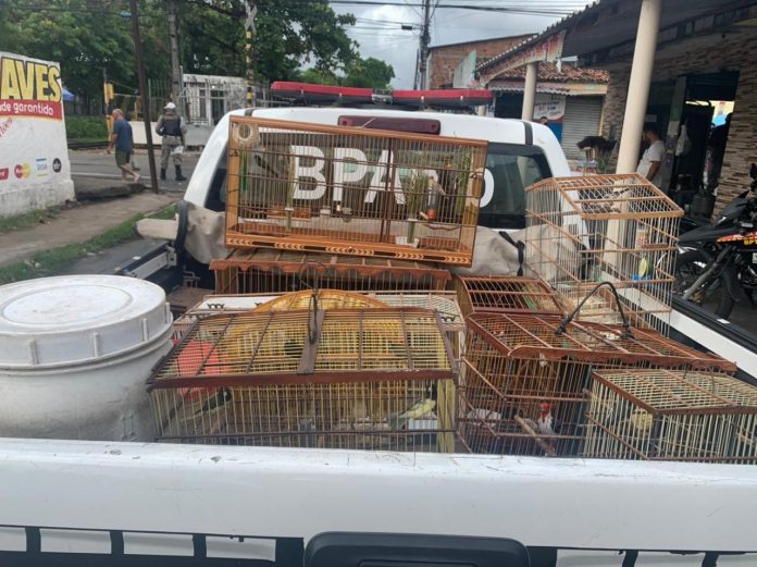 Homem é preso suspeito de chefiar grupo de tráfico de drogas em João Pessoa