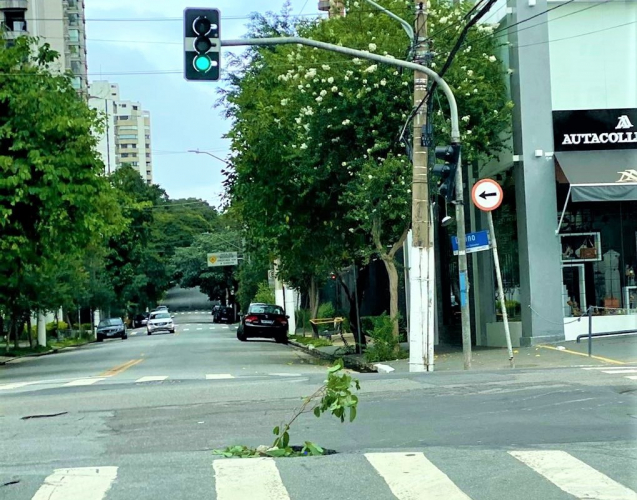 Inundações são previsíveis e devem ser tratadas pelos prefeitos como riscos à vida da população