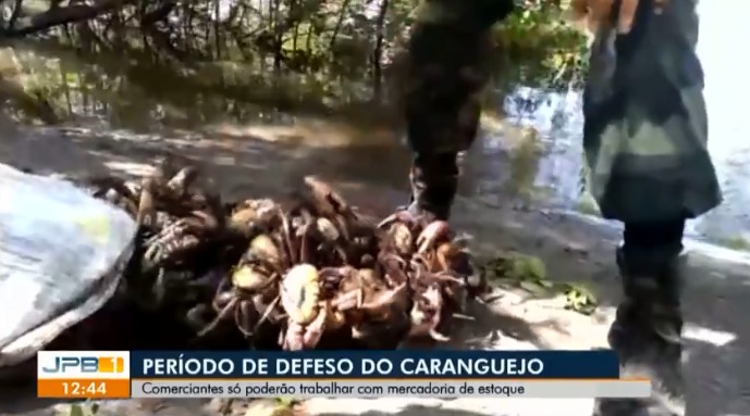 Comerciantes podem trabalhar só com estoque durante período de defeso do caranguejo, na PB