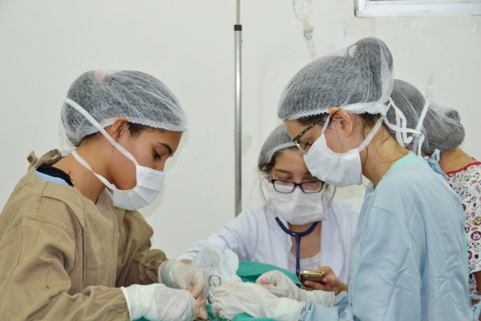 Centro de Zoonoses disponibiliza agendamento online de cirurgias de castração, em João Pessoa