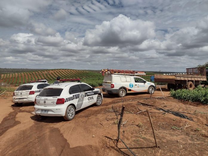 Polícia flagra furto de energia elétrica em área de irrigação de tomates, na Paraíba