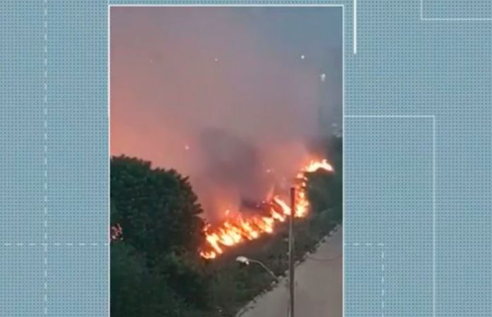 Região de mata no José Américo, em João Pessoa, registra três focos de incêndio nesta sexta-feira (29)