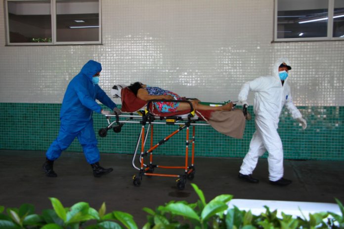 Nova cepa detectada em viajantes japoneses tem origem no Amazonas