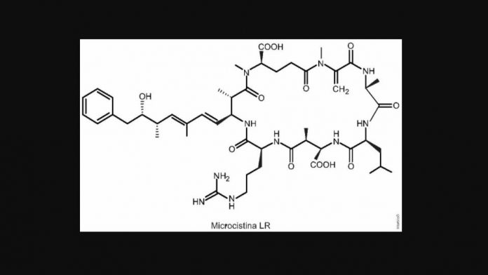 De boa no Enem: simulado de química traz questões sobre funções orgânicas