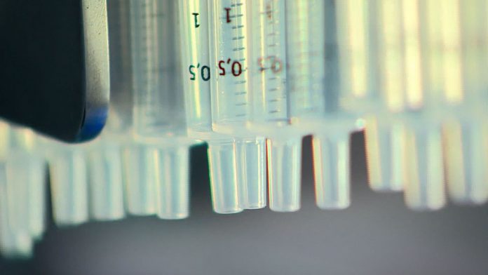 Paraíba tem seringas suficientes para primeira etapa de vacinação contra Covid-19, diz SES