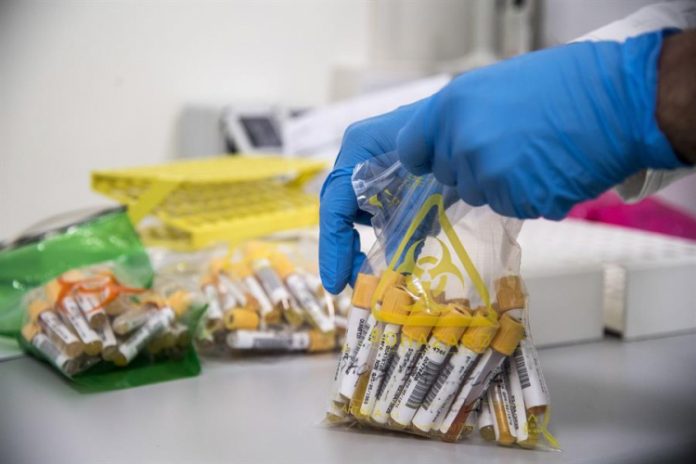 Covid-19: Como a ciência explica a criação de uma vacina em dez meses