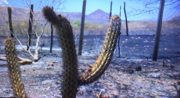 Inmet emite alerta amarelo de baixa umidade para 122 municípios da Paraíba