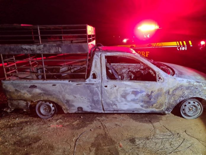 Animais morrem carbonizados após carro onde eram transportados pegar fogo no RN; VÍDEO