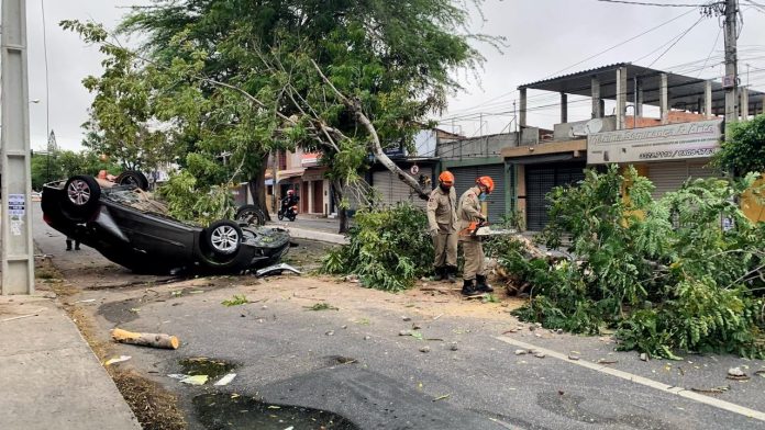 Carro capota, derruba árvore e avenida de Campina Grande fica interditada