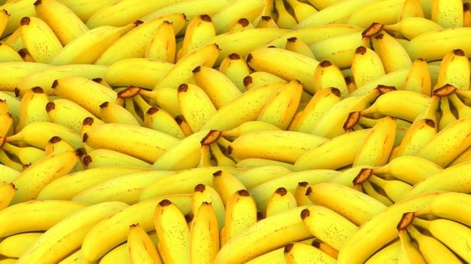 Preço do quilo da banana varia mais de 260% em estabelecimentos de João Pessoa