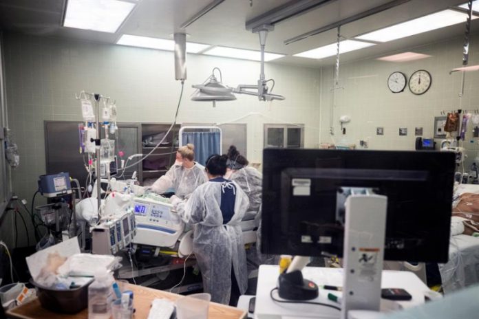 EUA chegam a 443 mil mortes por Covid-19, aponta Johns Hopkins