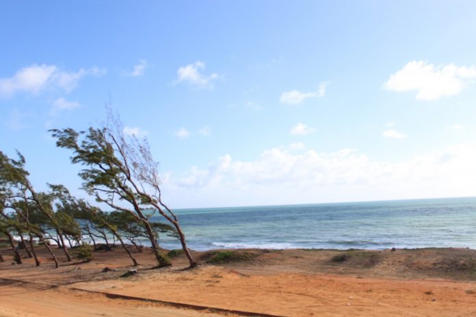 Litoral do RN tem um ponto impróprio para banho, diz Idema
