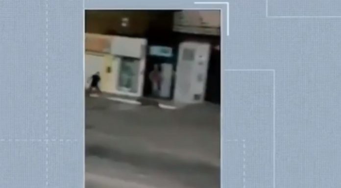 Capivara é flagrada no meio da rua em cidade do interior do RN; veja vídeo