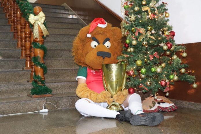 Portuguesa pede ajuda para encontrar mascote Leão que está desaparecido