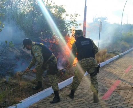 Guardas ambientais e bombeiros controlam princípio de incêndio no Parque da Cidade em Natal
