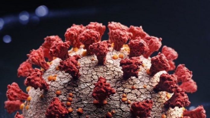 Variante amazônica do novo coronavírus é confirmada na Paraíba, diz secretário