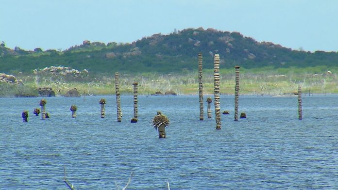 Reservatórios do RN iniciam fevereiro com dobro do volume de água que tinham no mesmo mês em 2020