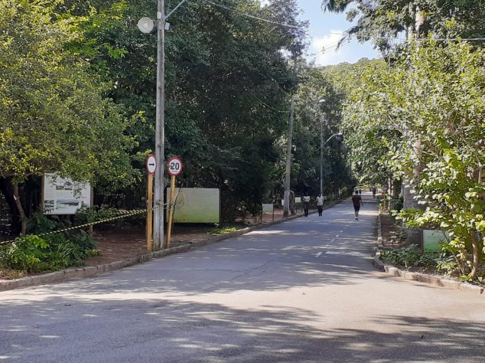 Parque das Dunas e Cajueiro de Pirangi mantêm funcionamento no carnaval