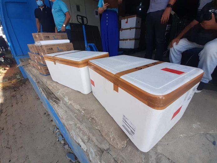 Covid-19: Nova remessa de vacinas é enviada a municípios para imunização de idosos e 2ª dose em profissionais de saúde do RN