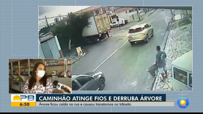 Caminhão atinge fios de telefonia e internet e derruba árvore, em João Pessoa