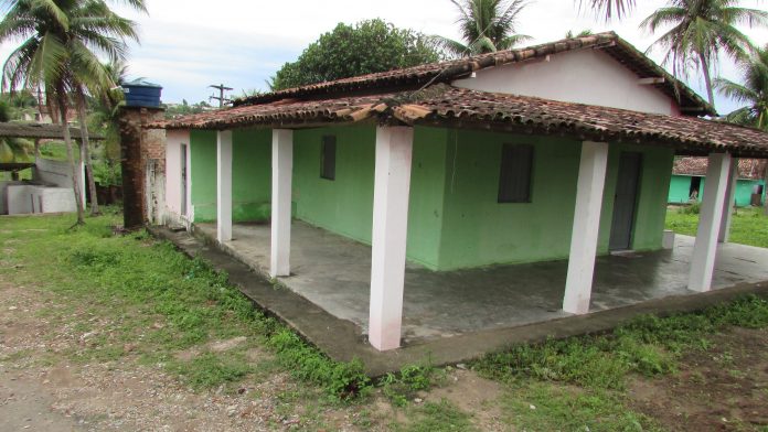 ONG move ação para derrubar lei que permite morte de animais em situação de rua, em Santa Rita, PB