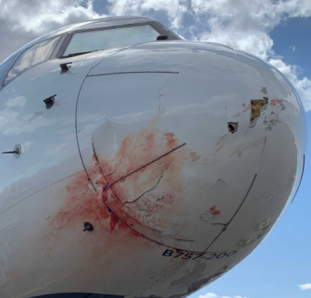 Avião de time da NBA faz pouso de emergência após colidir com pássaros