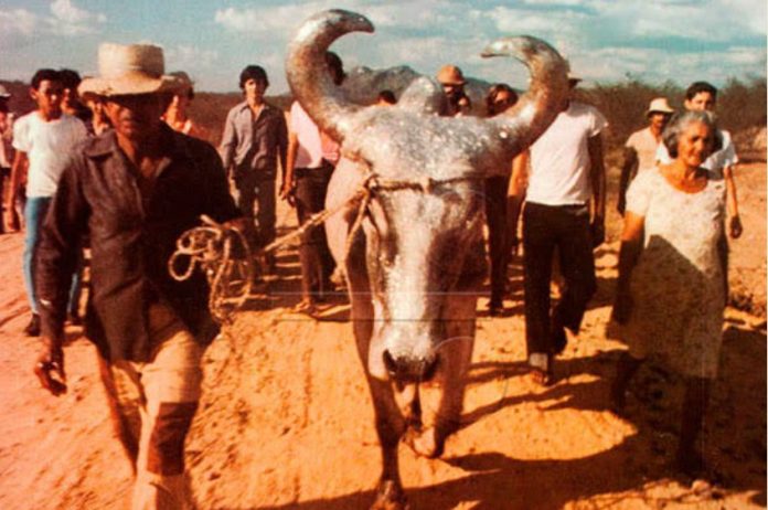 Mostra de Cinema de Gostoso começa nesta quarta-feira (10) em formato virtual