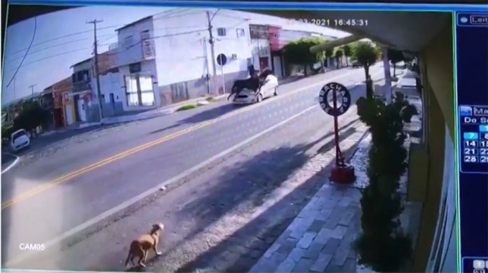 Mulher e cavalo são atropelados ao atravessarem rua, no Sertão da Paraíba; VÍDEO