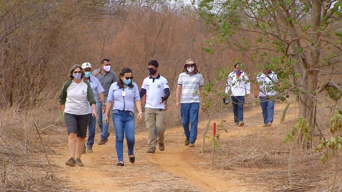 Parque da Furna Feia inicia projeto de recuperação da caatinga no RN