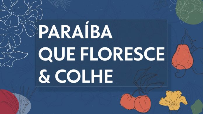 Reveja reportagens do projeto ‘Paraíba que Floresce e Colhe’, da Rede Paraíba