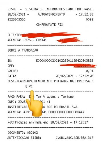 Torcedor usa PIX para doar 1 centavo ao clube e protestar contra presidente; confira