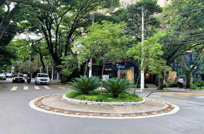 Vamos quebrar o asfalto e plantar árvores? Soluções para chuvas podem ser criativas e de baixo custo