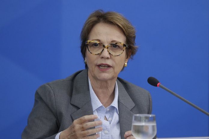 ‘Privatização pode ajudar a diminuir os preços de produtos rurais’, diz ministra Tereza Cristina